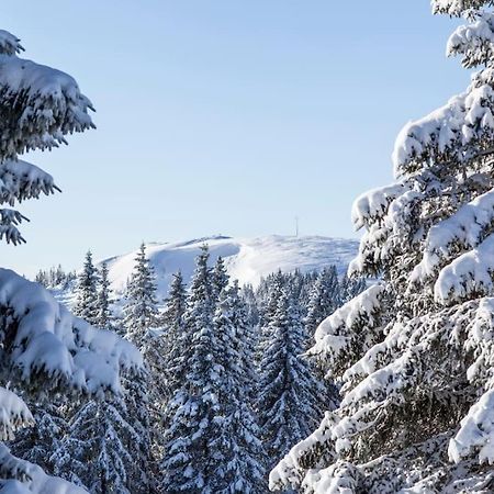 Waldtwin 2 Titisee Екстер'єр фото