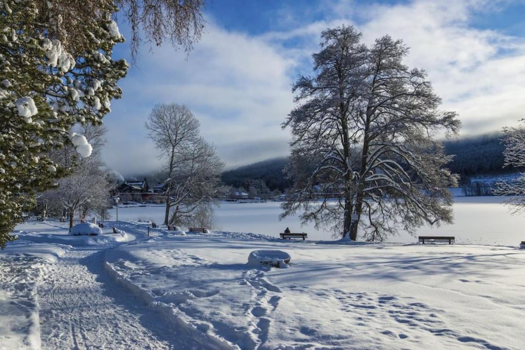Waldtwin 2 Titisee Екстер'єр фото