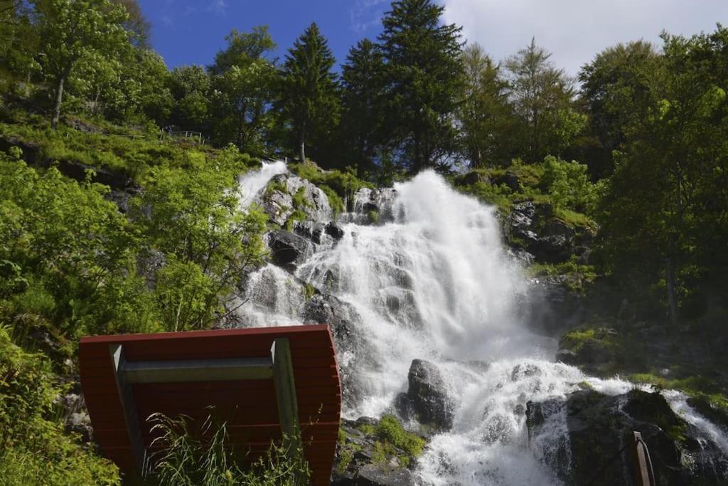 Waldtwin 2 Titisee Екстер'єр фото