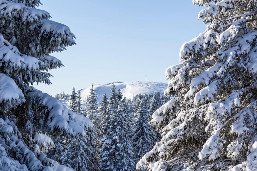 Waldtwin 2 Titisee Екстер'єр фото