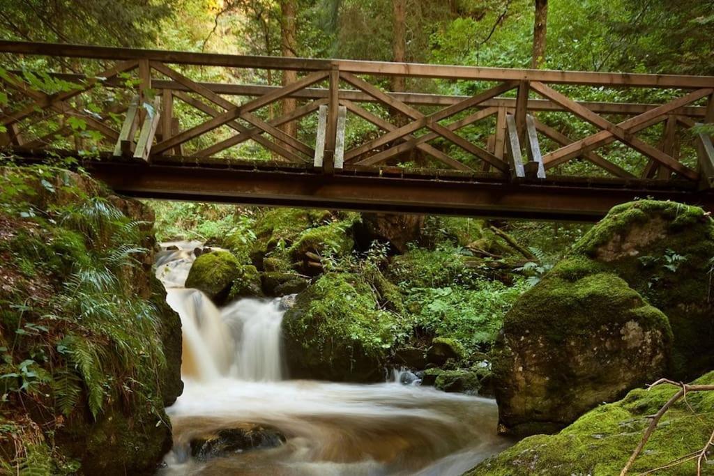 Waldtwin 2 Titisee Екстер'єр фото