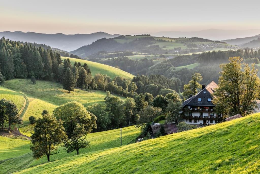 Waldtwin 2 Titisee Екстер'єр фото
