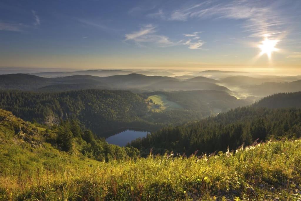 Waldtwin 2 Titisee Екстер'єр фото