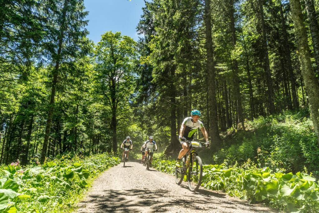 Waldtwin 2 Titisee Екстер'єр фото